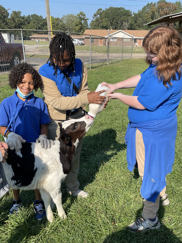 Varnado FFA students engage in hands-on learning experience to learn how to raise animals, including rabbits, miniature goats and chickens, at their school. (Photo: Business Wire)