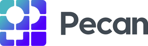 Pecan AI Logo