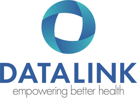 DataLink Software Logo