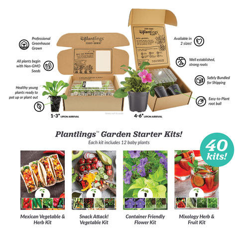original Ferry-Morse Expands Plantlings™ Selection Adding New Varieties and Introducing More Than 40 New Garden Starter Kits (Graphic: Business Wire)