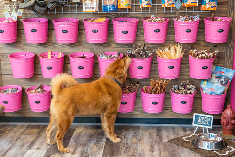 Woof Gang Bakery & Grooming (Photo: Business Wire)