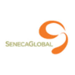 SenecaGlobal Announces Availability of Constant Care Managed Services for NetSuite thumbnail