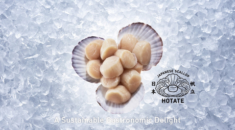original Japanese Scallop - A Sustainable Gastronomic Delight (Photo: Business Wire)