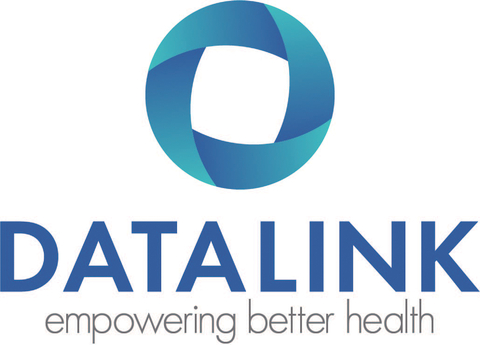 DataLink Software Logo