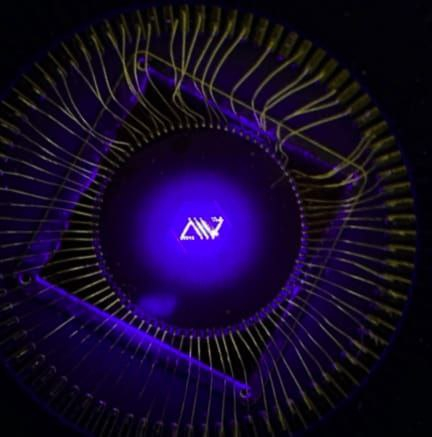 Avicena LightBundle™ MicroLED arrays (Photo: Business Wire)