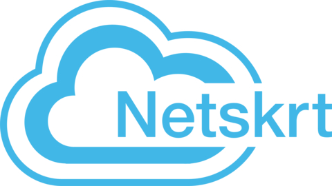 Netskrt Systems Logo