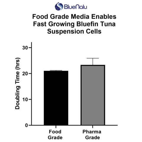 BlueNalu bluefin tuna suspension muscle derived cells were shown in our studies to grow equally fast in food grade and pharmaceutical grade cell culture media. In these studies, doubling times averaged <24 hours in food grade media, showing the potential of these cells for large scale manufacturing. (Graphic: Business Wire)