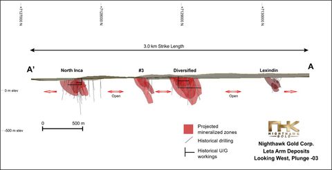 Figure 5 – Leta Arm Zone – Long Section View Looking West (Graphic: Business Wire)