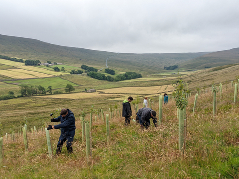 Ameresco Extends Partnership with Yorkshire Dales Millennium Trust to Plant 1,000 Trees and Restore One Hectare of Meadow Habitat (Photo: Business Wire)