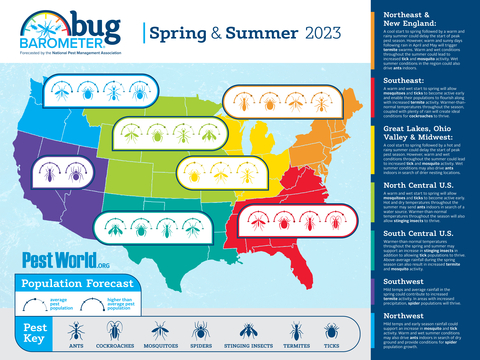 original (Graphic: Business Wire)