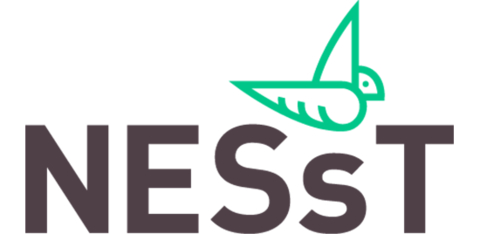 NESsT Logo