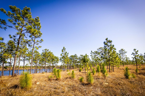 To date, Mary Kay and the Arbor Day Foundation have planted 1.3 million trees through its partnership and continue to work toward future impact. Mary Kay recently completed a 69-acre reforestation project to revitalize Florida’s Econfina Creek Wildlife Management Area and preserve the primary source of drinking water for the county. (Credit: Arbor Day Foundation)