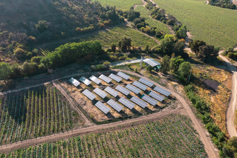 Solar panels provide 100% of the power supply for VSPT Wine Group's San Pedro Cachapoal vineyards. (Photo: Business Wire)