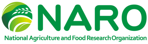 Asian Productivity Organization Logo