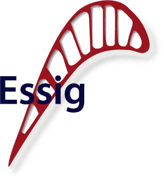 Essig Logo