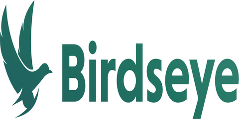 Birdseye Logo