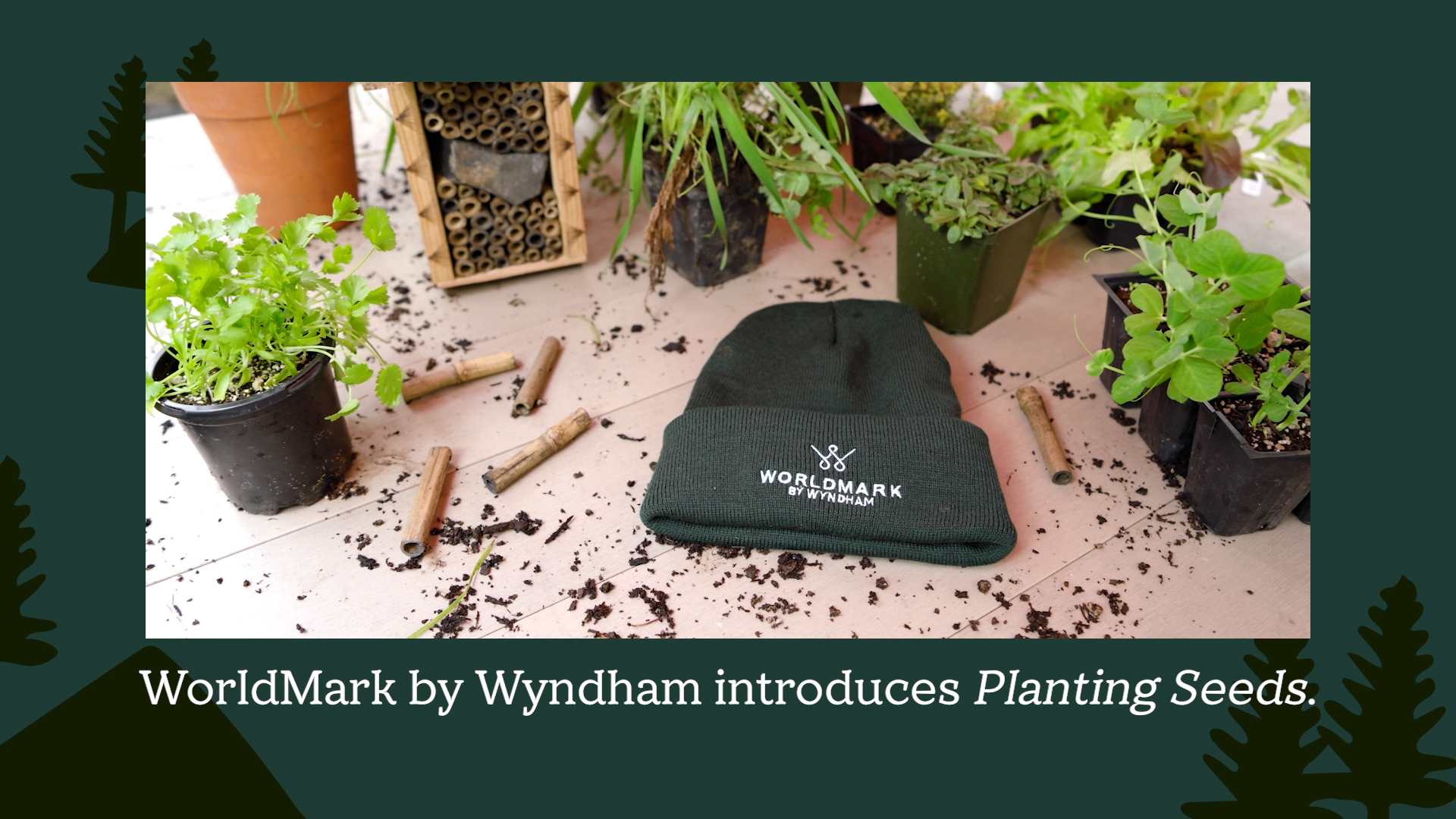 Vacation club brand WorldMark by Wyndham® is launching Planting Seeds, a pilot program that introduces guests staying at WorldMark Portland Waterfront Park to the concept of urban permaculture through interactive workshops and an on-site vertical demo garden.