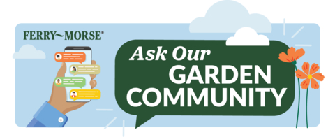 Ferry-Morse Launches ‘Ask Our Gardening Community’ Live Q&A - Live, online chat function – featuring gardeners for gardeners – available for real-time advice and inspiration. (Graphic: Business Wire)