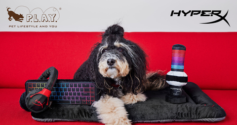 HyperX and P.L.A.Y. Join Forces to Launch First-of-its-Kind Innovative Pet Toy Collaboration (Photo: Business Wire)