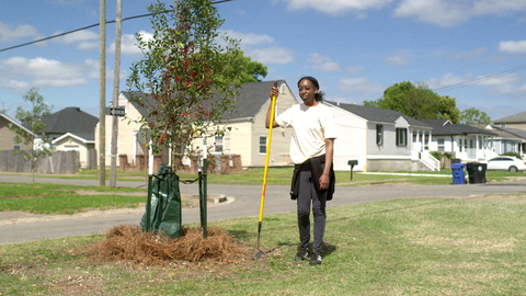 DiversiTree Project™ (Photo: Business Wire)