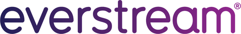 Everstream Logo