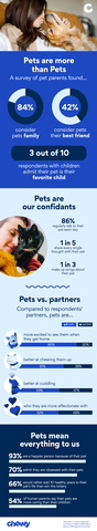 Pets are more than pets infographic. (Graphic: Business Wire)
