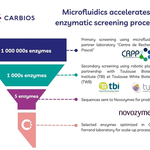 カルビオス、1日で数百万の酵素をスクリーニングする機能の導入により酵素の最適化を加速