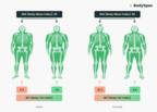 Powerful scans with world-class clinical measurements to enhance health  monitoring. - Body Comp