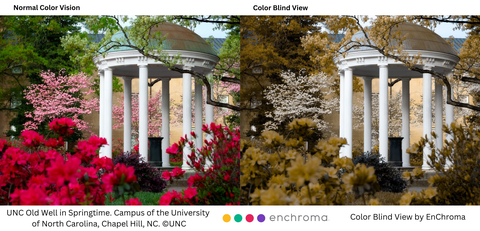 Old Well in Springtime in color blind view and color normal vision, on the campus of the University of North Carolina, Chapel Hill. (Photo: Business Wire)