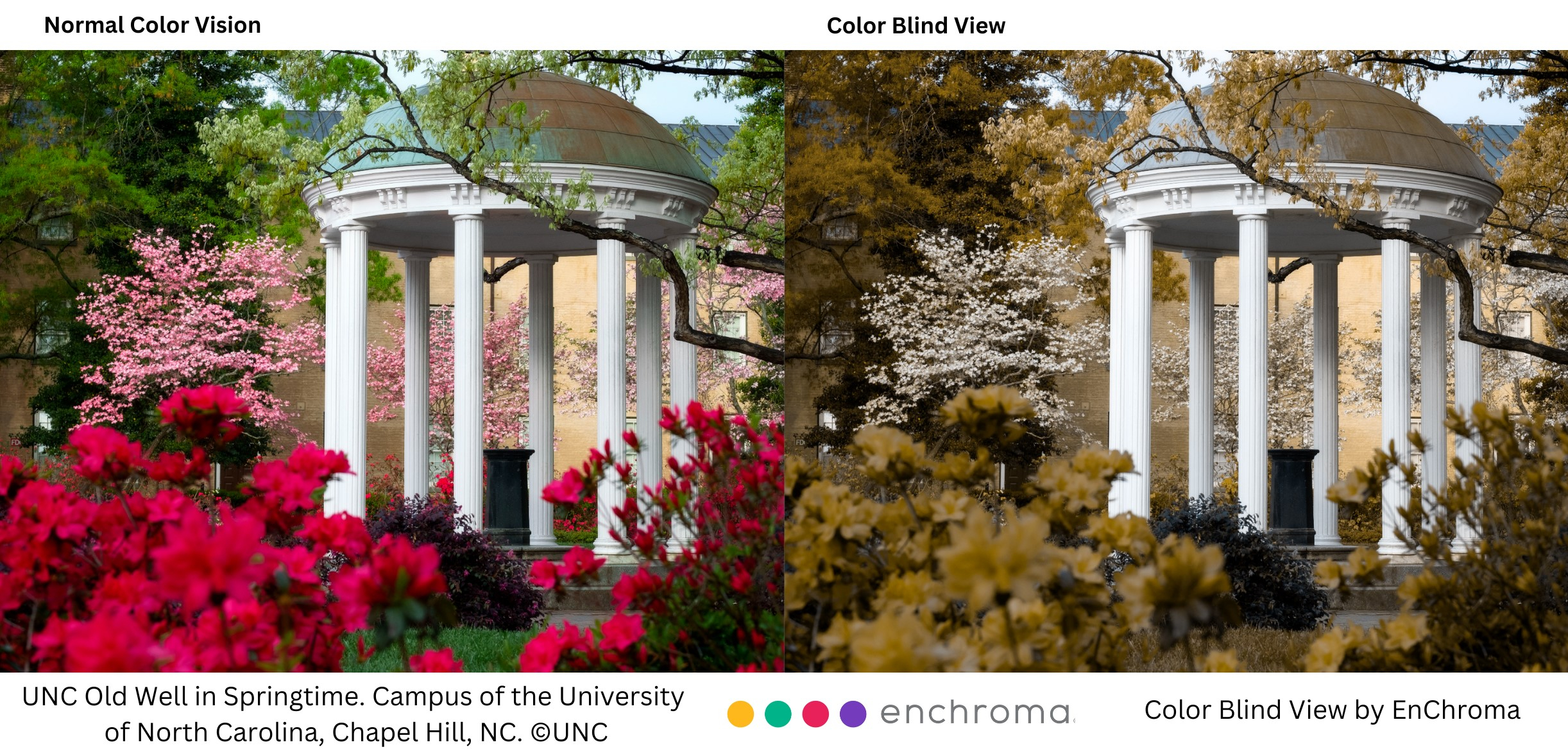 Northwest Museum of Arts and Culture unveils EnChroma glasses for color  blind visitors