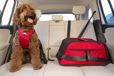 American Red Cross co-branded edition Sleepypod products will help pets travel safer.  (Photo credit: Brandise Danesewich for Sleepypod)