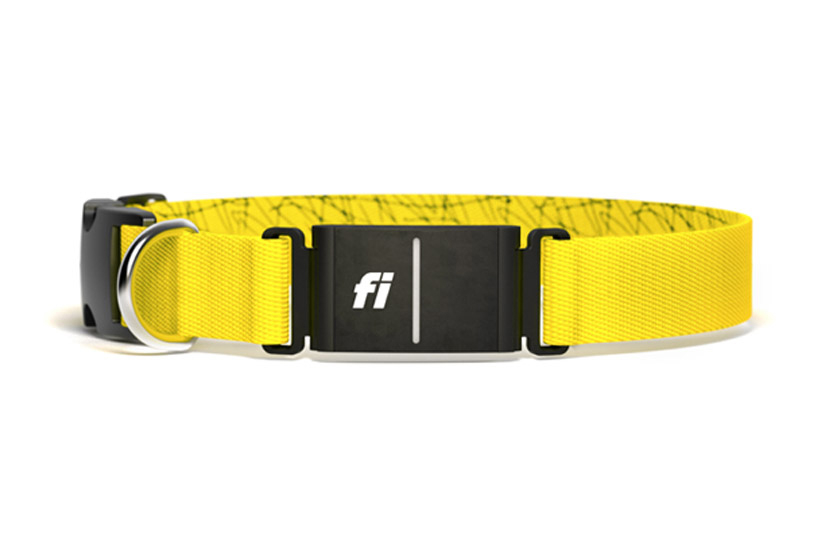 The Fi Series 3 collar in Yellow