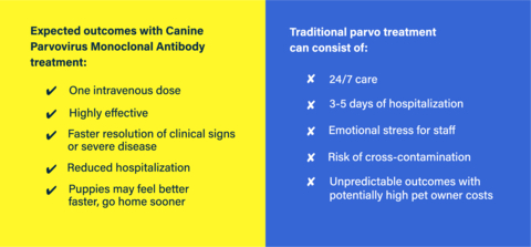 Advantages of Canine Parvovirus Monoclonal Antibody versus traditional treatments. (Graphic: Business Wire)