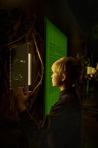 The enchanted forest in the exhibition space takes visitors on a journey through the world of fairy tales, full of adventures, wonders and challenges. (Photo: Business Wire)