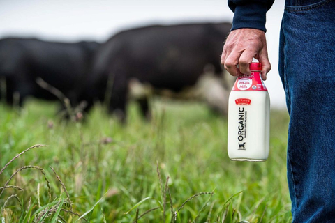 thumbnail The sweet grasses from the lush green coastal pastures in Northern California make all the difference in the fresh, pure taste of Straus Family Creamery's organic milk which contains only one ingredient: organic milk. (Photo: Business Wire)