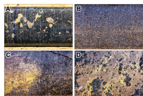 Figure 1. Select photographs of some of the metallurgical test work program drill core provided to SGS Canada. A – blebby sulphide mineralization from hole QDG-23-29M at 22.00 metres depth (HQ core, long dimension of photograph is 8 cm); B – net texture sulphides from hole QDG-23-29M at 36.45 metres depth (HQ core, long dimension of photograph is approximately 6.0 cm); C – disseminated and semi massive sulphides from hole QDG-23-29M at 36.60 metres (HQ core, long dimension of photograph is approximately 6.0 cm); and D – semi massive sulphide vein from hole QDG-23-28M at 41.25 metres hole depth (HQ core, long dimension of photograph is approximately 6.0 cm). (Photo: Business Wire)
