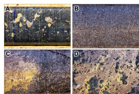 original Figure 1. Select photographs of some of the metallurgical test work program drill core provided to SGS Canada. A – blebby sulphide mineralization from hole QDG-23-29M at 22,00 metres depth (HQ core, long dimension of photograph is 8 cm); B – net texture sulphides from hole QDG-23-29M at 36,45 metres depth (HQ core, long dimension of photograph is approximately 6,0 cm); C – disseminated and semi massive sulphides from hole QDG-23-29M at 36,60 metres (HQ core, long dimension of photograph is approximately 6,0 cm); and D – semi massive sulphide vein from hole QDG-23-28M at 41,25 metres hole depth (HQ core, long dimension of photograph is approximately 6,0 cm). (Photo: Business Wire)