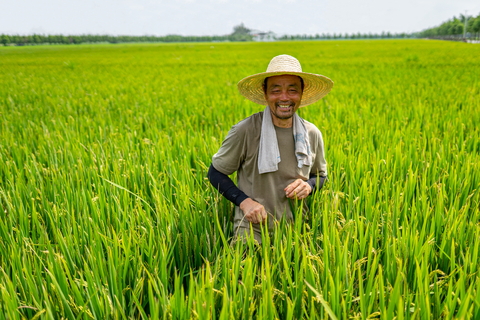 Syngenta and FMC to bring to market breakthrough technology to control rice weeds in Asia. (Photo: Business Wire)