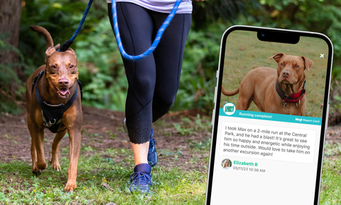 A dog on a trail run "Excursion." Pet Caregivers leave a report card for Pet Parents after the service has been completed (as shown right). (Photo: Business Wire)