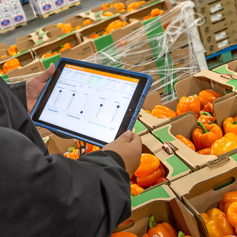 Procurant Inspect is a mobile application for produce inspections across the fresh food supply chain. The latest release features a voice-enabled rating feature, further streamlining retail produce inspections while providing real-time data to buyers and sellers of fresh produce. (Photo: Business Wire)