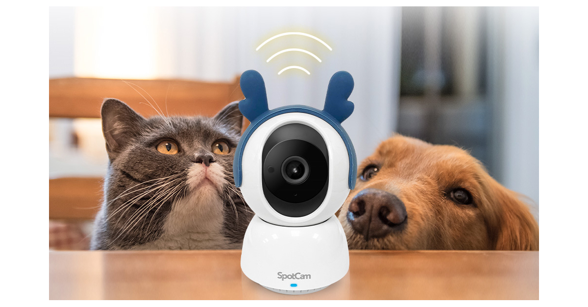 Motion activated pet sales camera