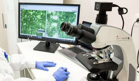 thumbnail @elicitplant