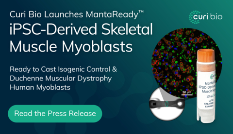 Curi Bio Launches MantaReady™ 3D Skeletal Muscle Myoblasts – Ready to Cast Isogenic Control and Duchenne Muscular Dystrophy Human Myoblasts for 3D Engineered Muscle Tissue (Photo: Business Wire)