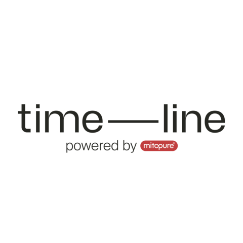 Timeline Logo