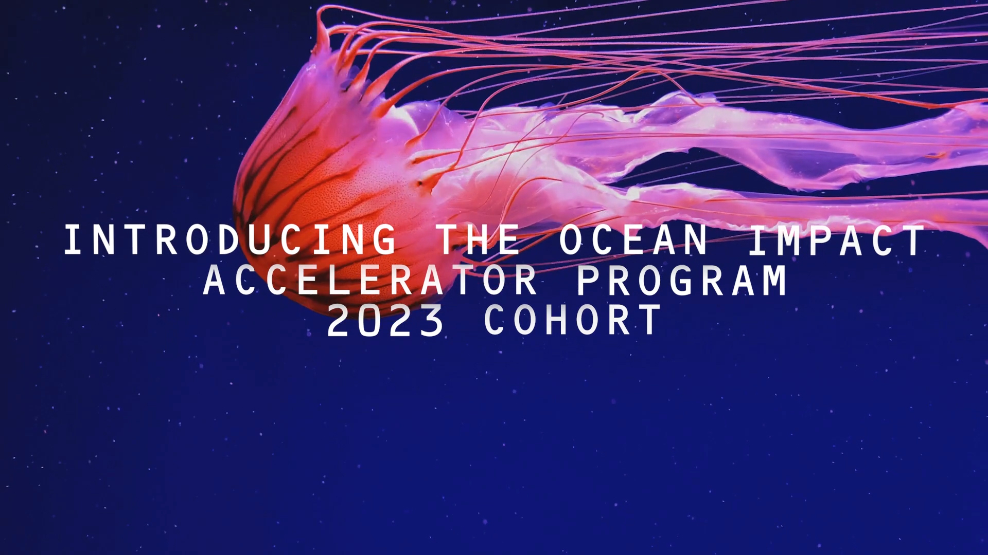 ecoSPEARS selected for the 2023 Ocean Impact Accelerator Program.