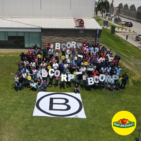 Asociados de NatureSweet en Zapotlan (Photo: Business Wire)