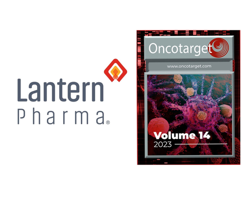 Lantern publishes new research in Oncotarget demonstrating LP-284’s antitumor potential for multiple non-Hodgkin’s lymphomas (Graphic: Business Wire)