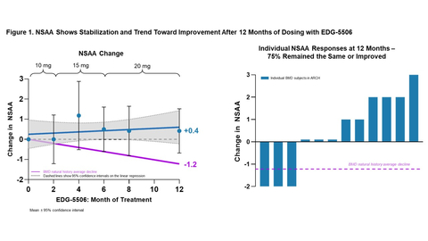 Edgewise Therapeutics Figure 1. NSAA shows stabilization and trend toward improvement after 12 months of dosing with EDG-5506 (Graphic: Business Wire)