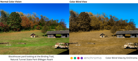 Normal color vision versus color blind view of scenery at Natural Tunnel State Park in Virginia (Graphic: Business Wire)
