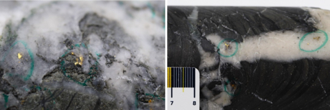 Figure 1: Photos of mineralization: Left: at ~ 91m from NFGC-23-1279, Right: at ~ 83m from NFGC-23-1274. ^Note that these photos are not intended to be representative of gold mineralization in NFGC-23-1274 and NFGC-23-1279. (Photo: Business Wire)